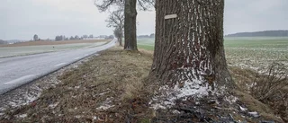 Räddningstjänsten: Vägavsnittet är inte särskilt hårt drabbat