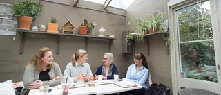 Alliansen kämpar för att hålla ihop: "Det är samarbete som gäller"
