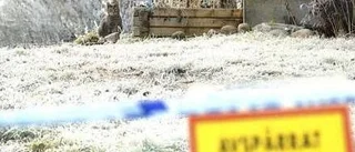 Mordmisstänkt ej psykiskt sjuk