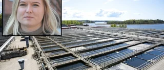 Övergödning från reningsverket – kommunen anmäls för miljöbrott