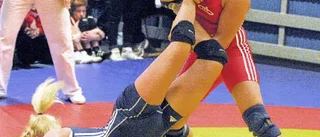 Ayda Delen dominerade - men BK Snar förlorade