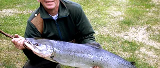 Årets första lax