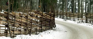 Vallskogen utarmas