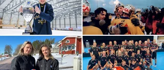 QUIZ: Vad vet du om idrotten i Motala-Vadstena just nu?