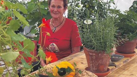Hemma i Britt-Marie Wåhlströms trädgård i Sarvisvaara växer det exotiska frukter, eller vad sägs om pumpor, fikon, paprika och mycket annat. Ett brinnande trädgårdsintresse ligger bakom.