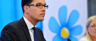 Åkesson har fler frågor att svara på