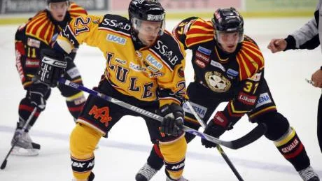 Segerjublet. HV71 och Per Ledin är i sjunde himlen efter klara 5-1 mot Linköping i den fjärde finalen.foto: scanpix