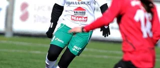 Tränaren sågar brasilianskorna: Hade högre förväntningar