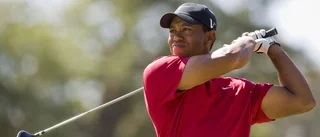 Woods skadad i bilkrasch