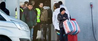 Kommunen sågar Migrationsverket