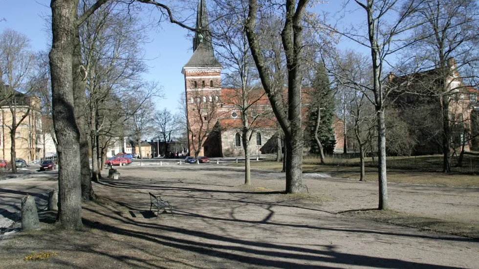 Låt studenterna få bygga på annan mark än i Odinslund. Vi behöver parker med många stora träd för klimatet och biologiska mångfalden, skriver Inger Sjöberg.