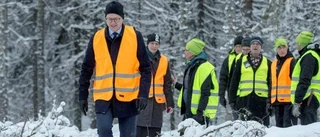 Damberg i sneakers prisade skogen
