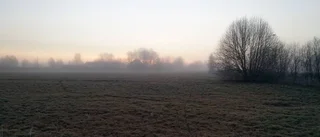 Så här blir söndagens väder i länet