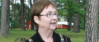 Landshövding till myggmöte i Gysinge