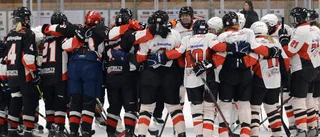 Genom mammornas engagemang fick Mjölby Hockey sitt första damlag