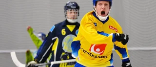 Sirius överkört i Edsbyn