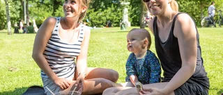 Hitta din picknick-oas i stan
