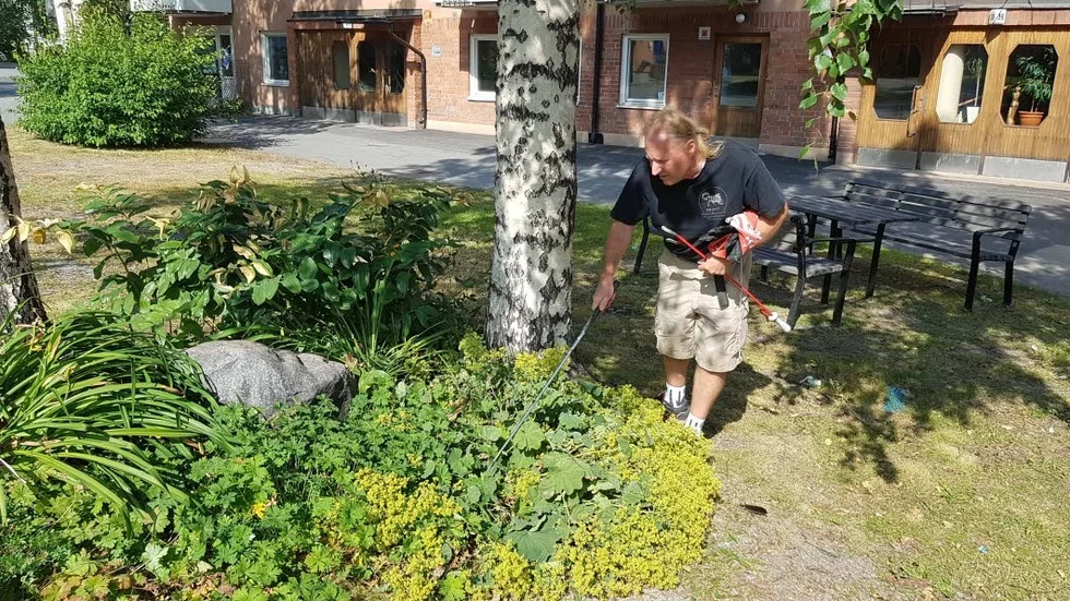"Jag vill inte påstå att det är fler ormar i år än tidigare år, men de har vaknat senare i år", säger Danne Andersson.