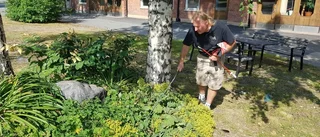"Inte fler ormar i år men de har vaknat senare"
