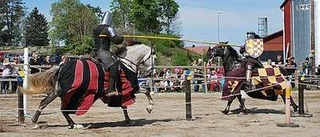 Ädel kamp i Olunda