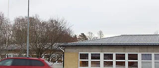 Vi kommer att ha växtvärk under flera år