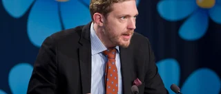 "SD leker med tanken att jaga människor som djur" 