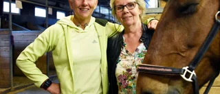 (S): Mer pengar till ridklubbarna