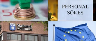 Nytt samarbete för att klara gröna omvandlingen i norr – projekt på över 100 miljoner kronor