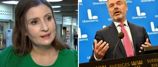 Lokala politikern lämnar L-styrelsen