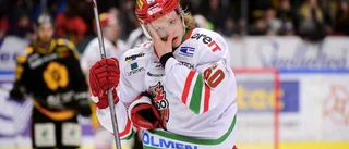 SHL-meriterad nära Almtuna