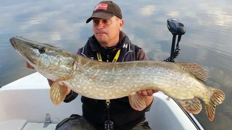 Conny Sveijer med sin monstergädda.