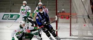 Mickelsson hyllas av förbundskaptenen: Otroligt giftig