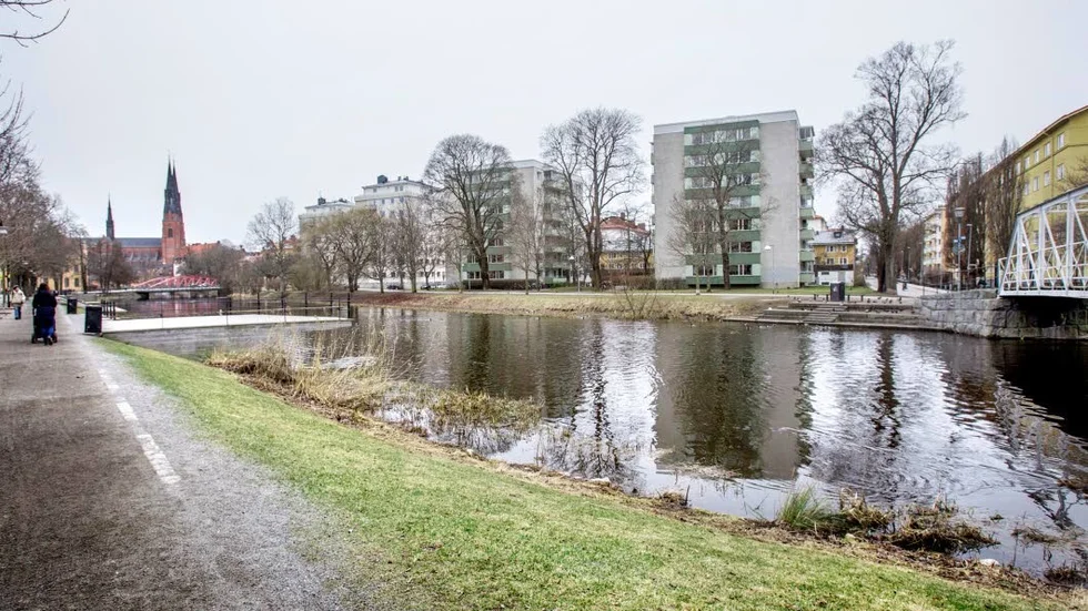 Rätt plats. En wakeboardbana i Fyrisån i avsnittet mellan Skolgatan och Eddaspången leder till en expansion av stadskärnan, skriver Mia Nordström (C), Henrik Ottosson (FP), Louise Bill (M) och Ian Engblom (KD).