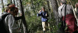 Många växter har försvunnit i Hållnäs