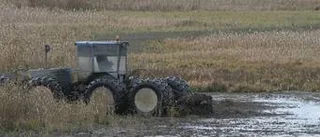 Vassröjning ger rikare fågelliv