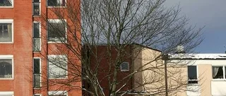 Utskällda hus blir värdefulla