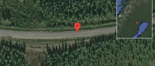 Flera stillastående lastbilar på väg 373 - helt stopp i ett körfält