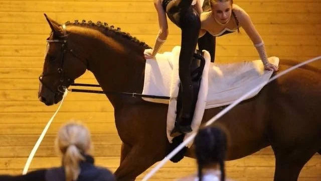 Team Lynx, Uppsala voltige, på hästen Gigloriouz.