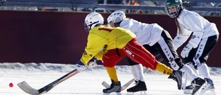 Stockholm/Uppland föll i finalen