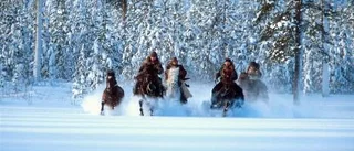 Äventyr i vilt skogsland