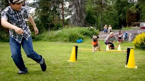 hundar används som terapi för barn med särskilda behov, Dannie Mullen Andersson, hunden Zigge.