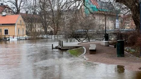 Ovanligt mycket regn i juni. Men även i maj månad kom en hel del över Uppsala.