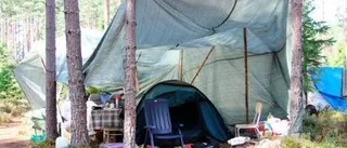 Ingen ny lag mot bärplockarläger