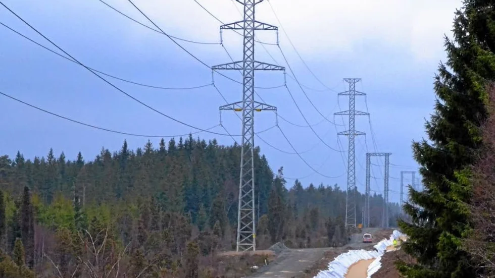 Sådana här 30 meter höga stålstolpar hade Vattenfall planerat att bygga på Hedåsen i Heby. Men ortsborna fick dem att ändra sig.