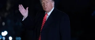 Den oavsiktlige klimatkämpen Donald Trump