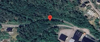 Träd över vägen skapar problem i trafiken på väg 909