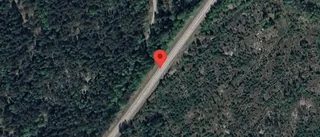 Träd över vägen skapar problem i trafiken på väg 282