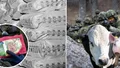Vill lägga upp matlager i Skellefteå: "Alltför sårbart" 