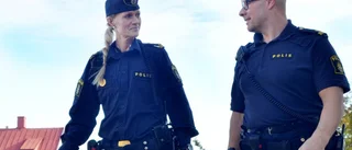 Inga villainbrott i Övertorneå i år
