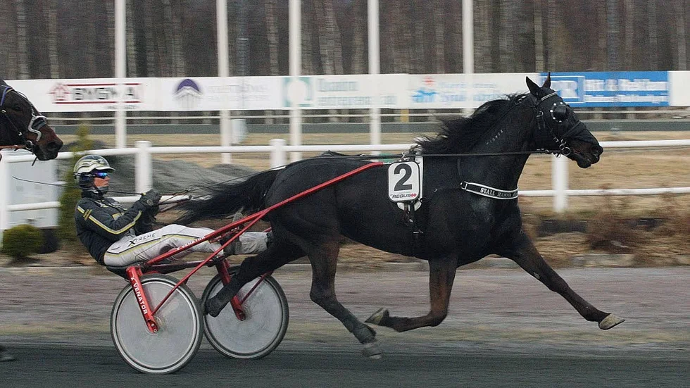 Vinnarduo. Hanna Olofsson fick fira en seger tillsammans med Valley Streamline när V75 avgjordes på Bergsåker.